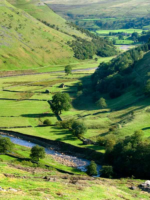 hillside with trees,  a stream and farmhouse