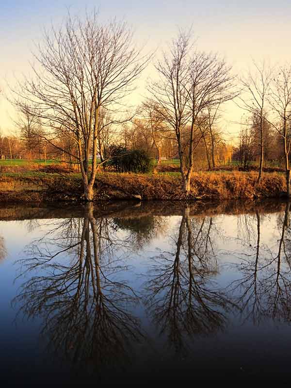 river side with autumnal trees surrounding it